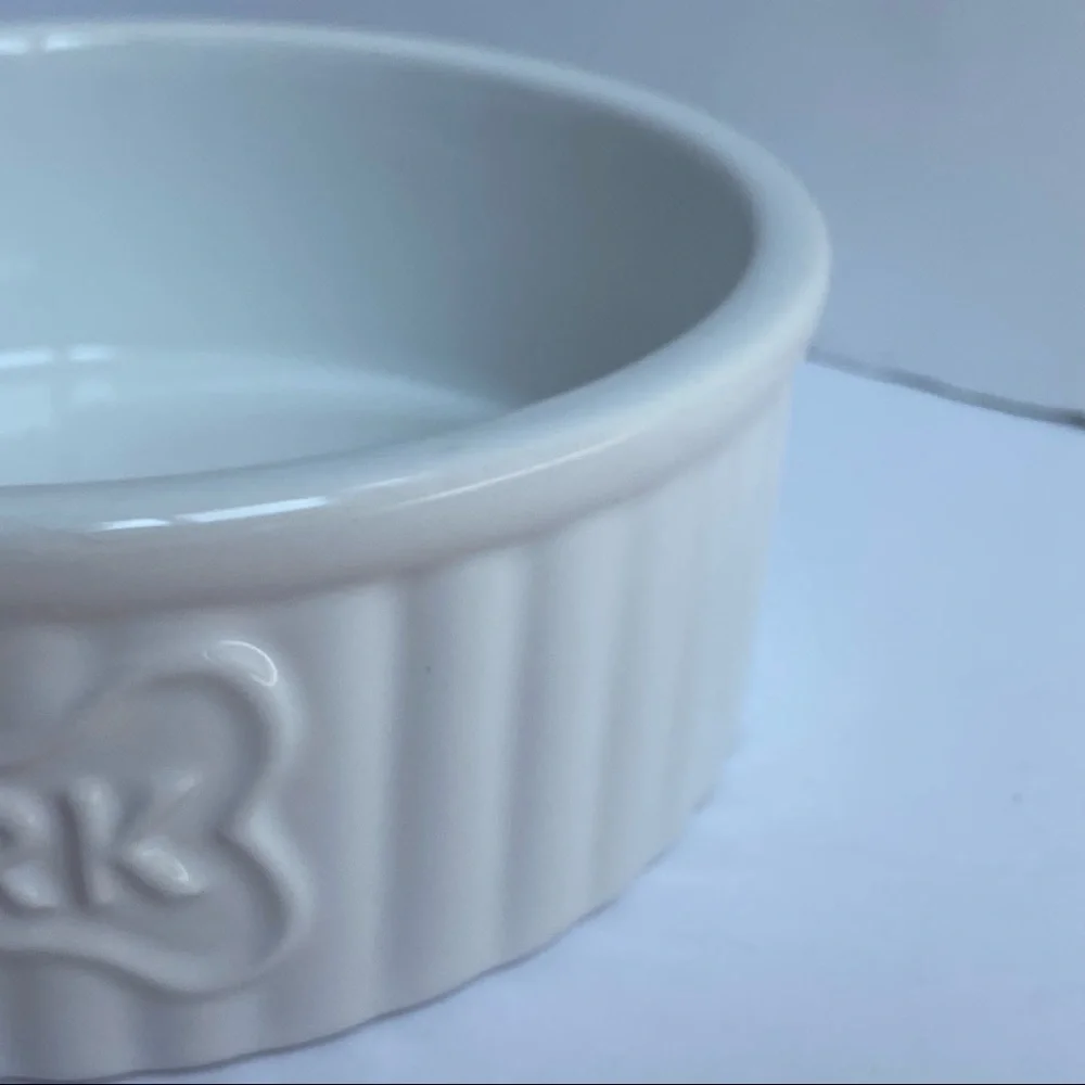 Dog Bowl White Ceramic 7” Bone Bark Ribbed Stoneware Dish Animal Planet EUC